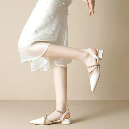 Tacchi Aizel